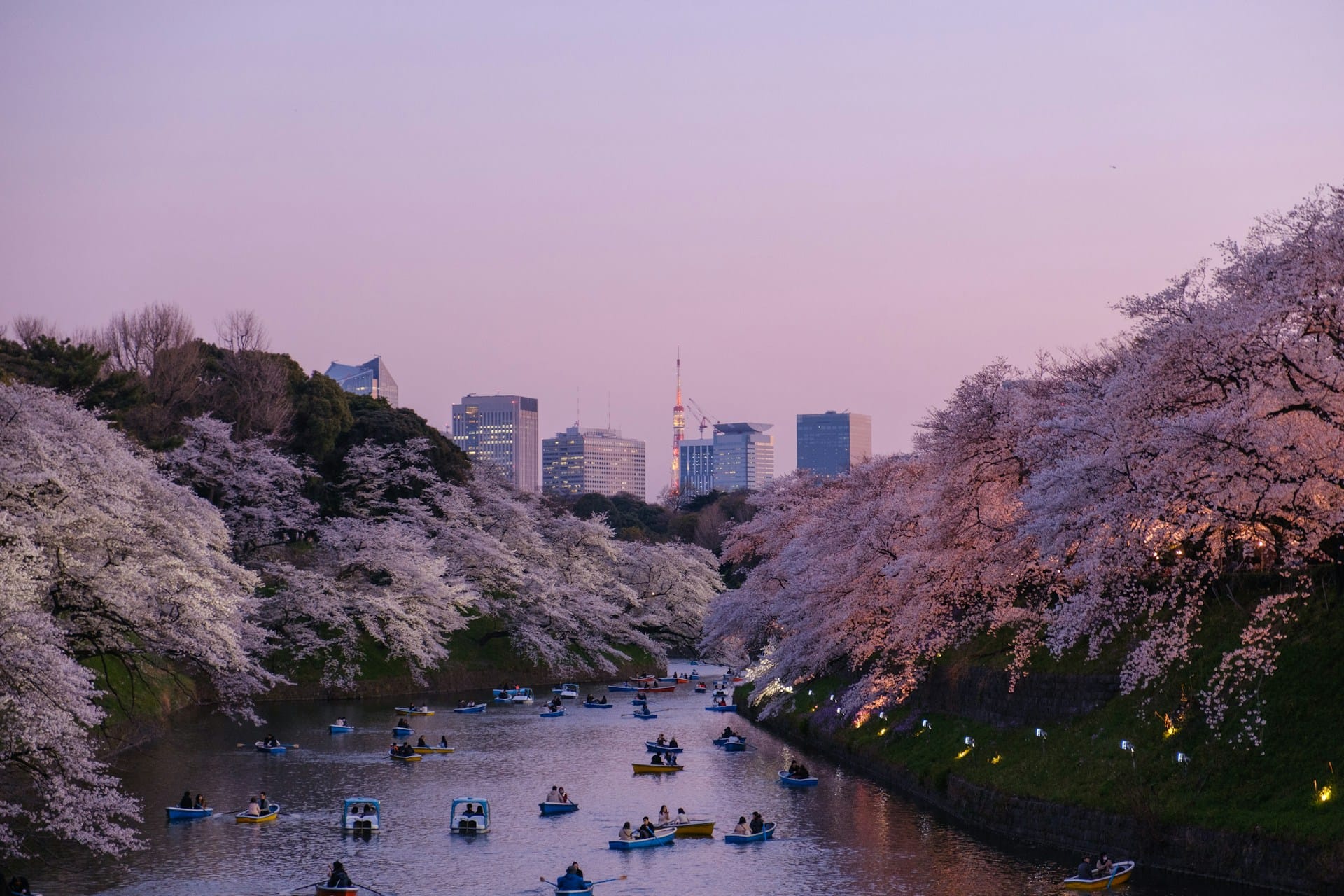 Japan temple and mountain landscape