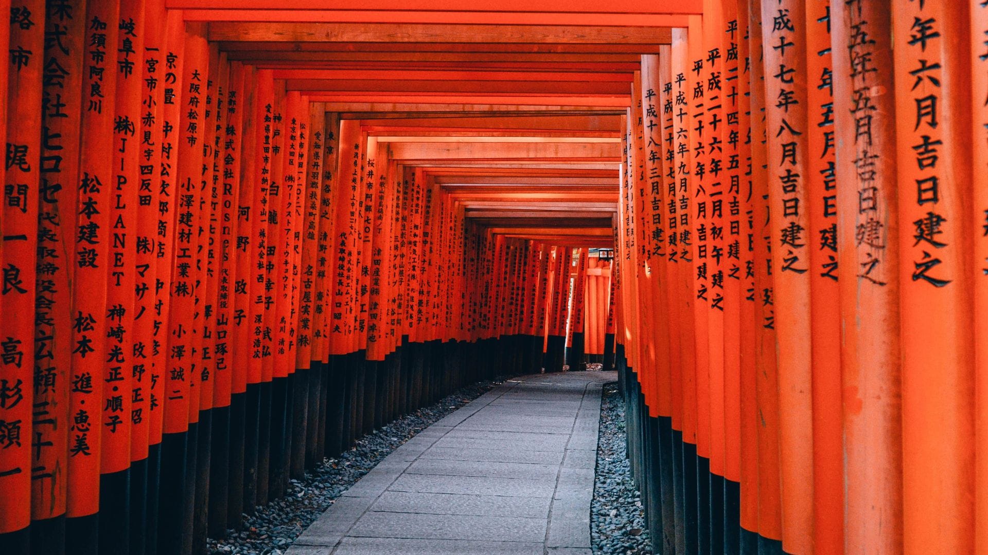 Vermilion torii gates forming a quiet pathway in Japan